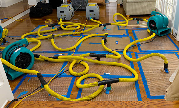 Professional Storm Water Damage Restoration technician working in Goodland, FL